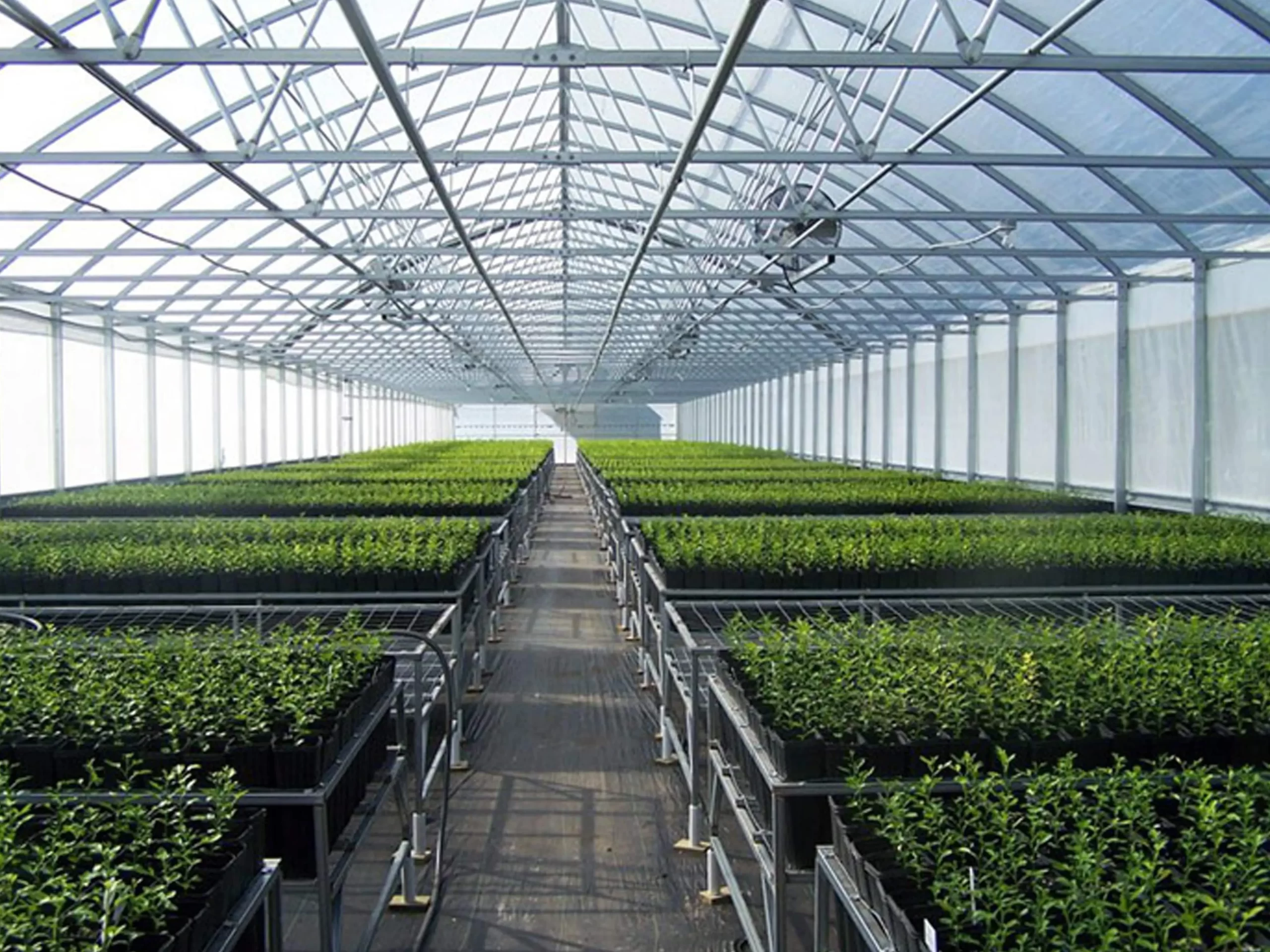 Best-Greenhouse-in-Duabi