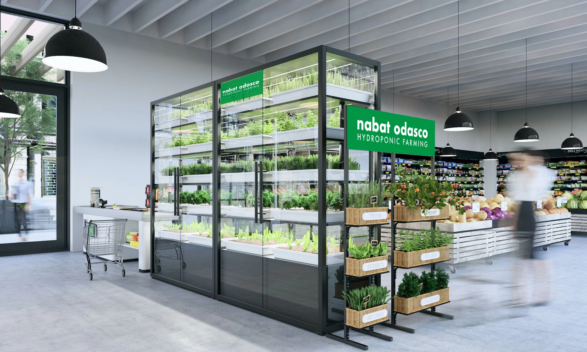 Best-Hydroponic-Supermarkets-in-UAE