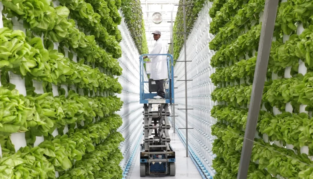 Tope-Vertical-Farming-in-UAE