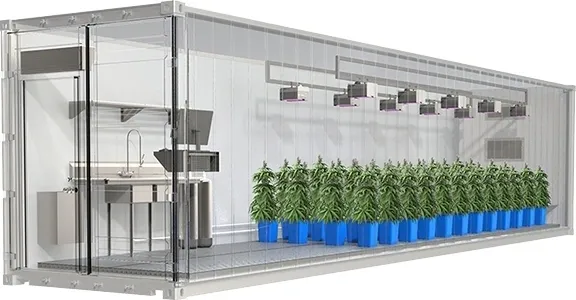 hydroponic-Class Room-in-Abu-Dhabi