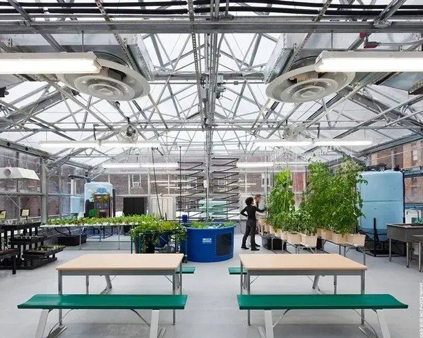 hydroponic-Class Room-in-Dubai