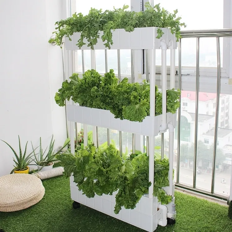 hydroponic-Class Room-in-UAE