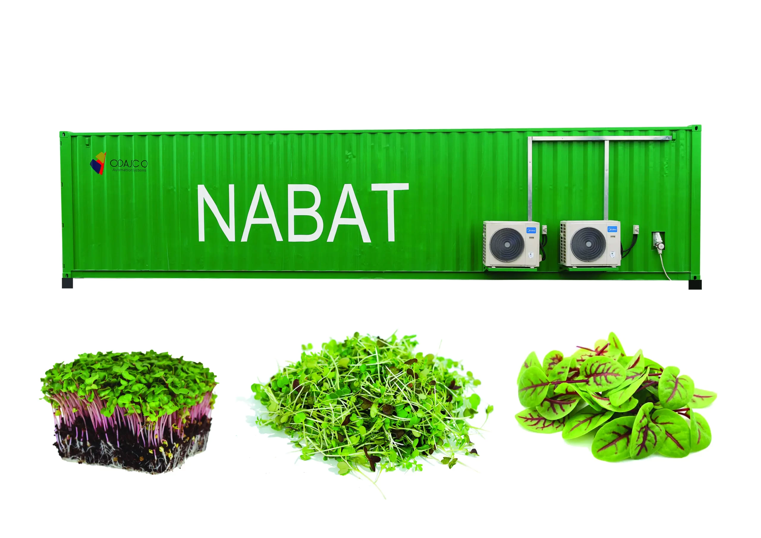 Container-Microgreens-Farming-in-Dubai