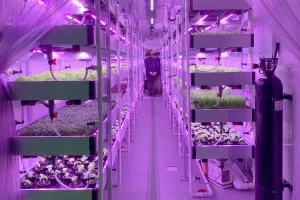 Top-Container-Farming-Ajman