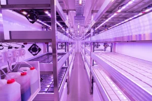 Top-Container-Farming-Dubai